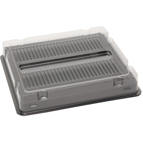 Anti-Static Two-Piece PET Tray for DDR3 Memory Module Set