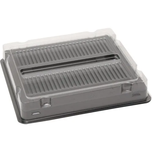 Anti-Static Two-Piece PET Tray for DDR3 Memory Module Set