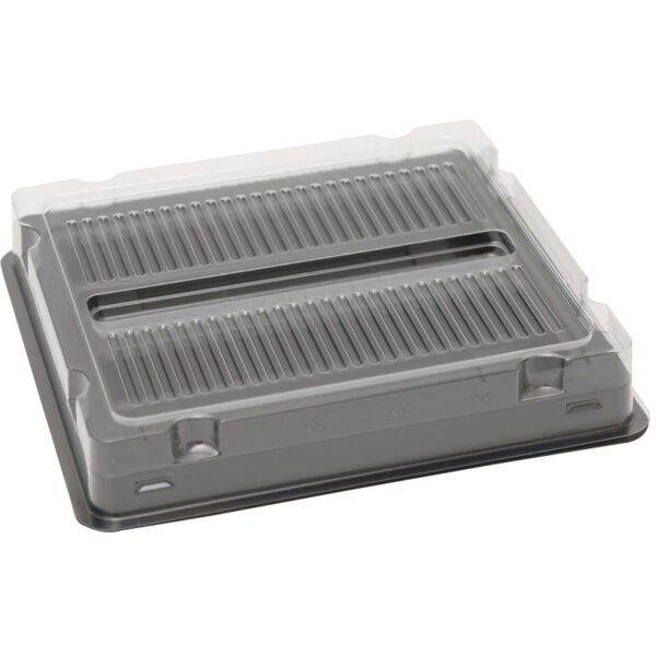 Anti-Static Two-Piece PET Tray for DDR3 Memory Module Set