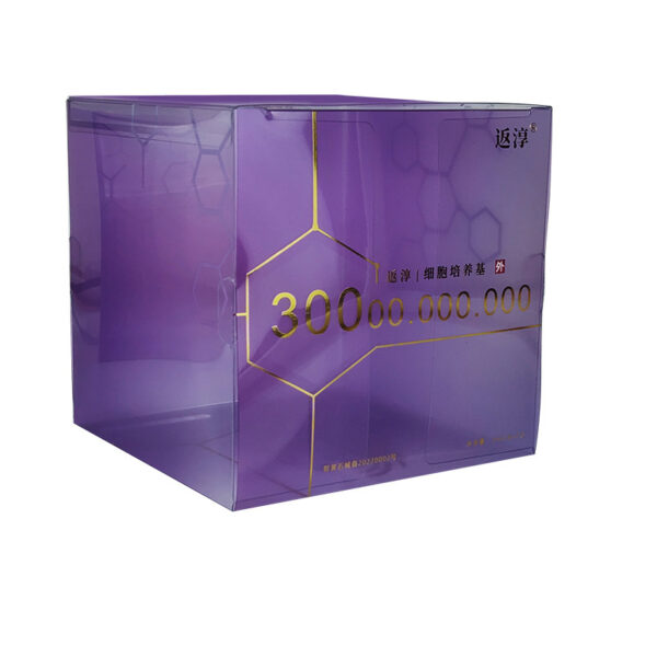 Printed PET Folding Box with Insert for Skincare Vial Sets