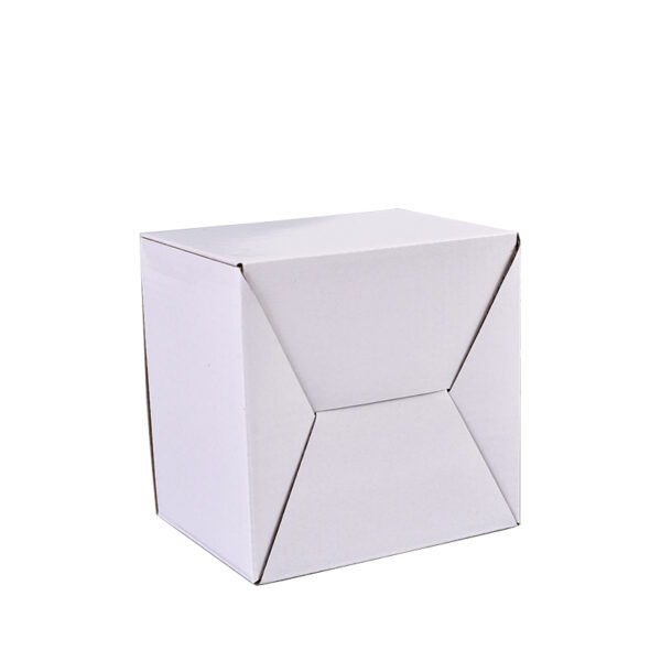 White Corrugated Mailer Packaging Box with Kraft Interior