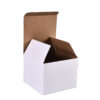 White Corrugated Mailer Packaging Box with Kraft Interior