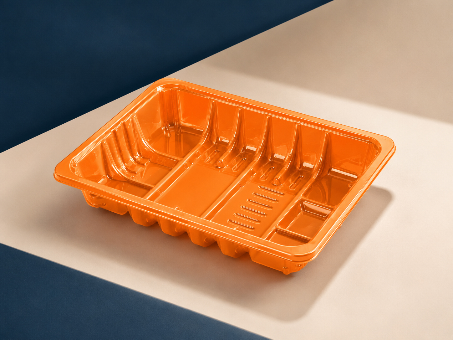 PET Blister Insert