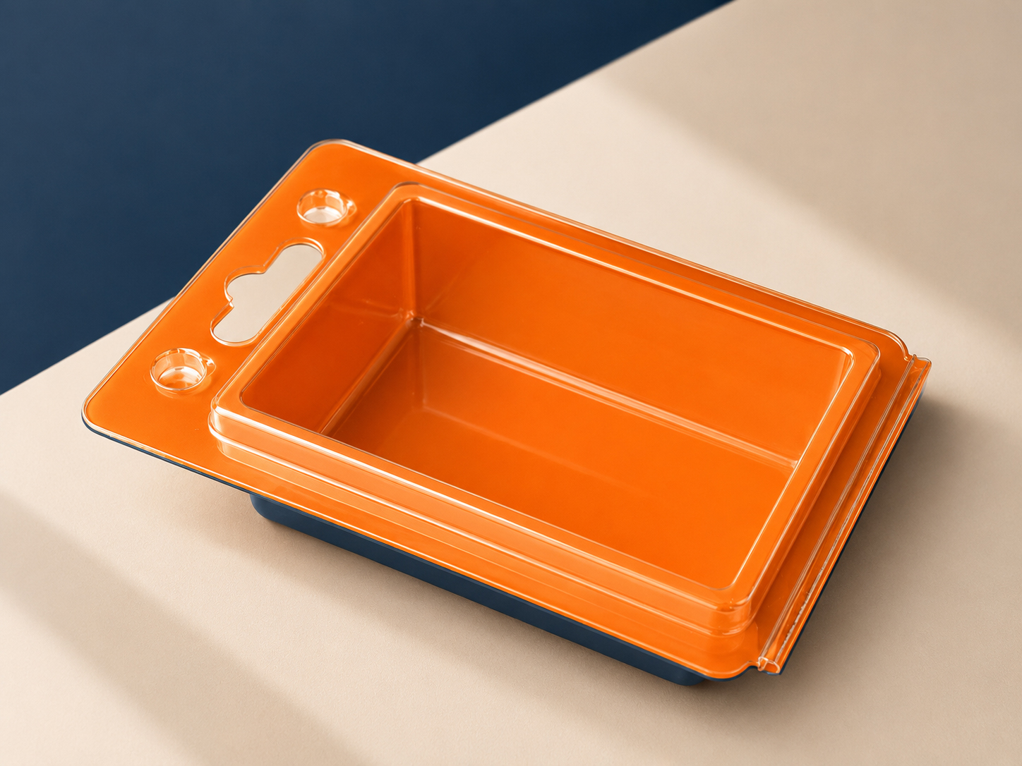 PET Blister Insert