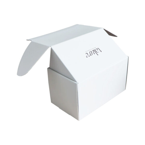 Skincare Corrugated Mailer Box with Printed Interior Seal